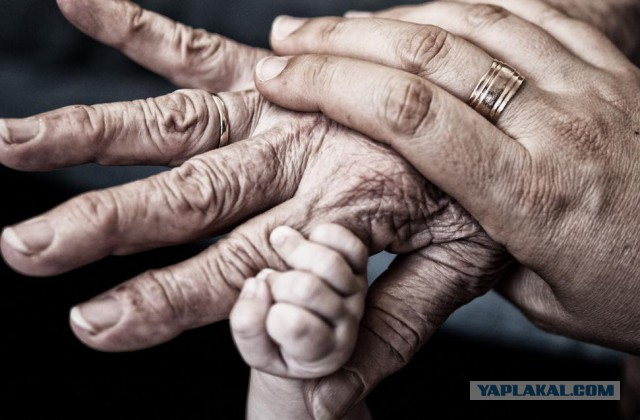 Больше, чем просто фото: подборка эмоциональных фотографий