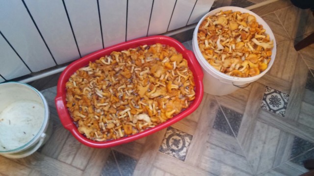 Охота "Тсс - шш"