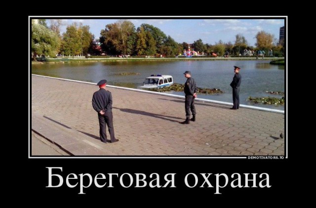 Порция картинок из сети