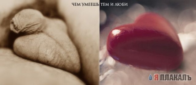 Визуальная  философия.