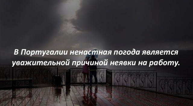 40 интересных фактов в картинках.