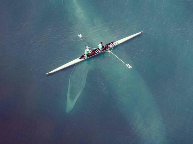 Подборка интересных и веселых картинок