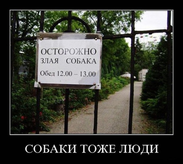 Картинки всякие для поднятия настроения