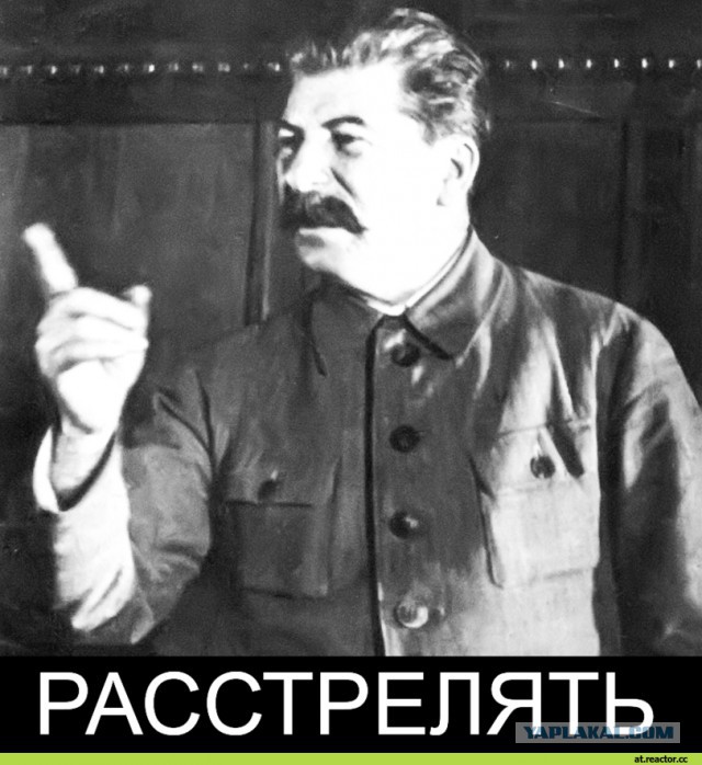 Сын Пескова прокомментировал расследование Алексея Навального