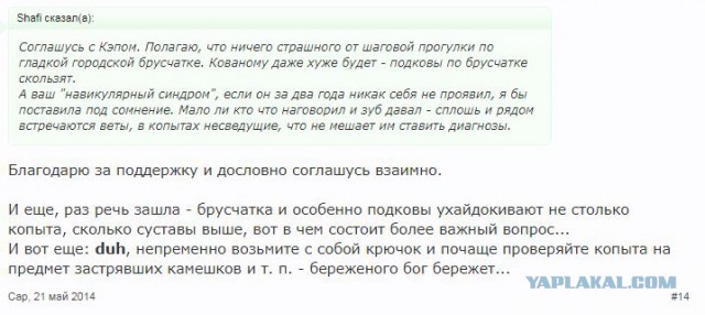 Римские дороги (реплика)