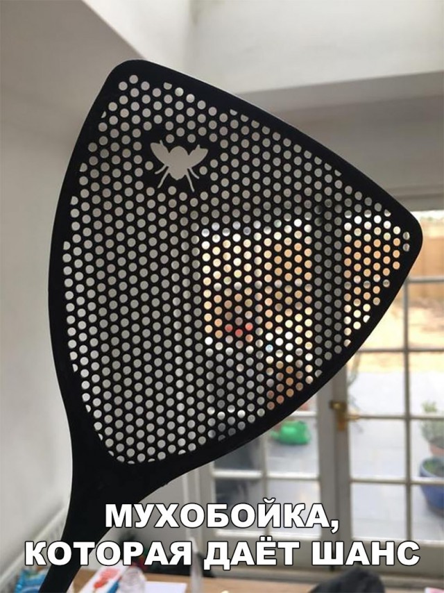 Нестандартный юмор