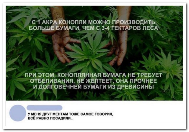 Смешные комментарии из социальных сетей 06.07.2018