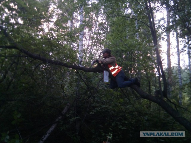 Командировка. В леса