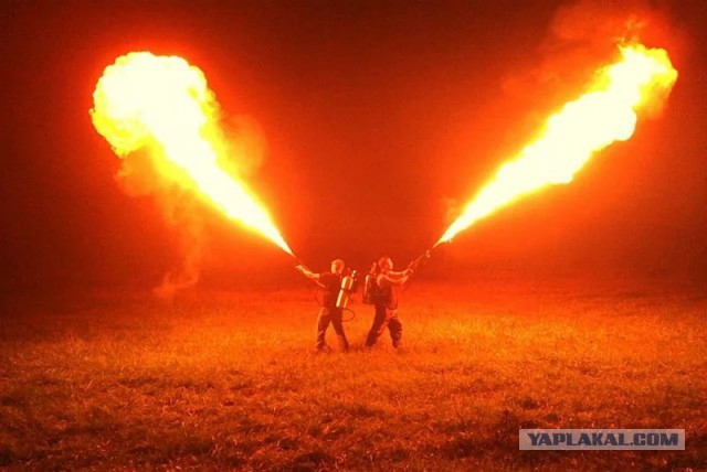 Гадкие факты о жизни вокруг нас