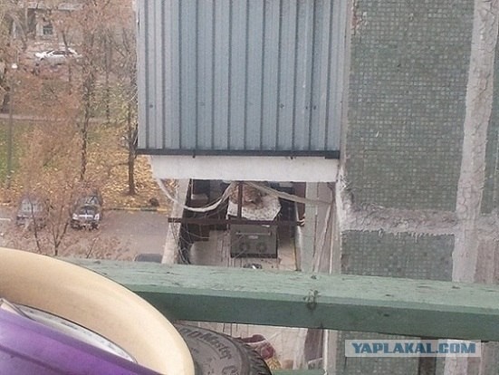 Замечательный сосед