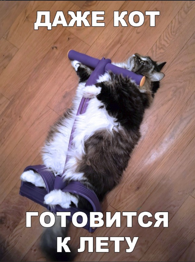 Нестандартный юмор