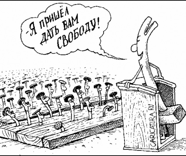 "Власть прошла точку невозврата. Россия скоро выздоровеет". Кафельников - о задержаниях на митинге в Москве