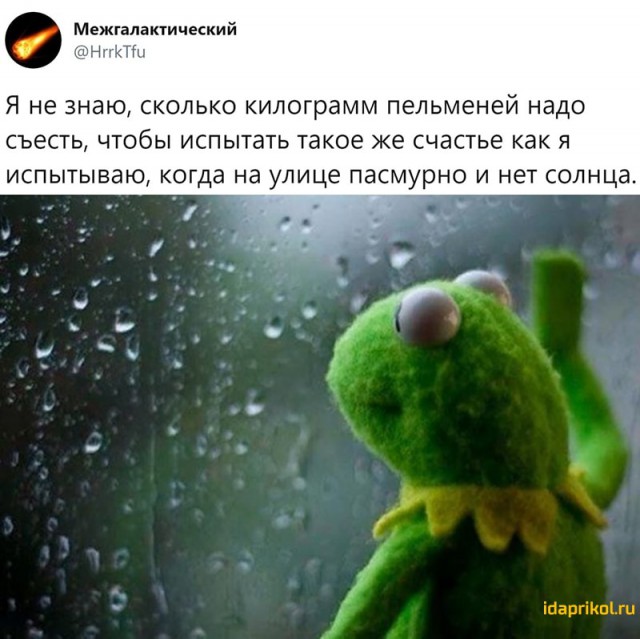 Применим физику в постели или белка и стрелка. Картинки