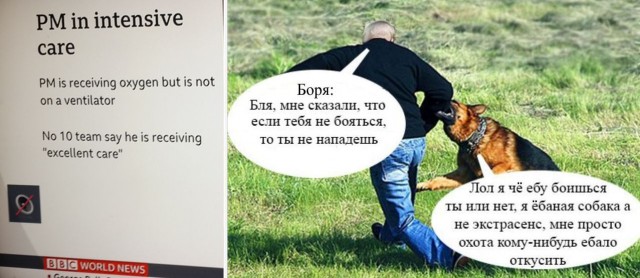 И что-то все-таки не вяжется со статистикой COVID