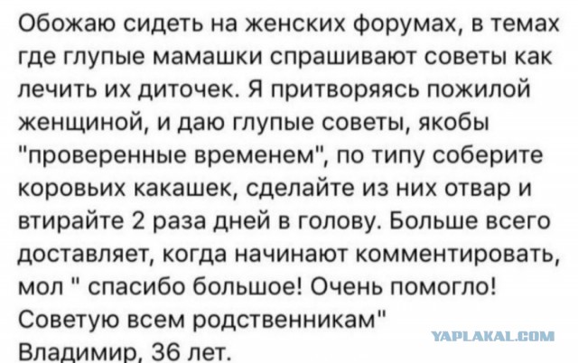 Бредзона 15.11.20