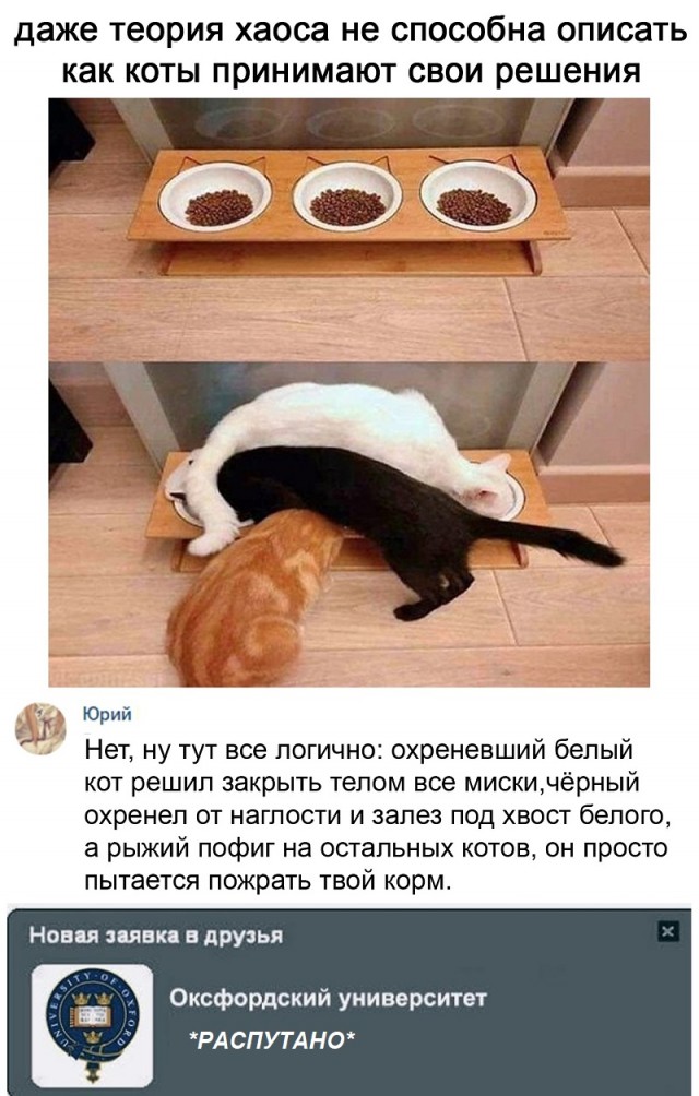 Картинки с надписями и всякие жизненные фразы 26.12.20