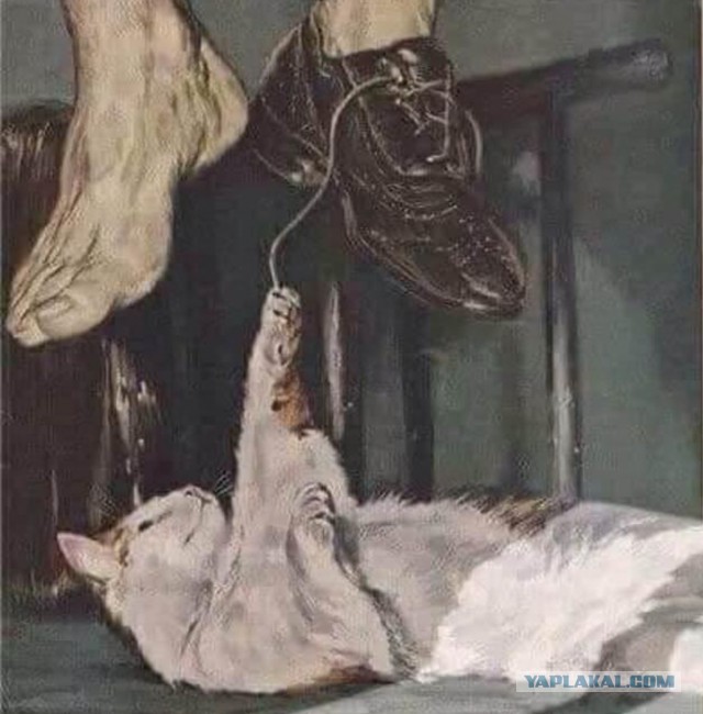 Черный юмор