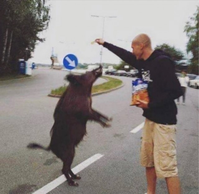 Картинок вам на утро