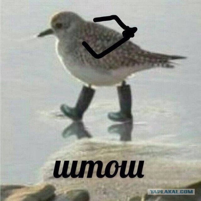 Если хочешь быть здоров...
