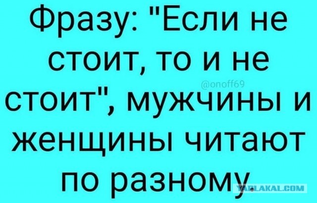 Весёлый полтишок 13.03