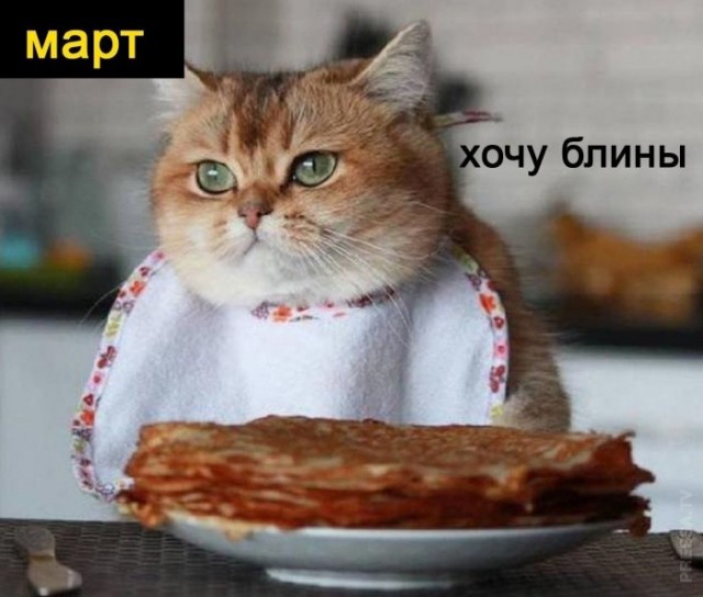 Картинки и мемы для настроения 15.03.2021