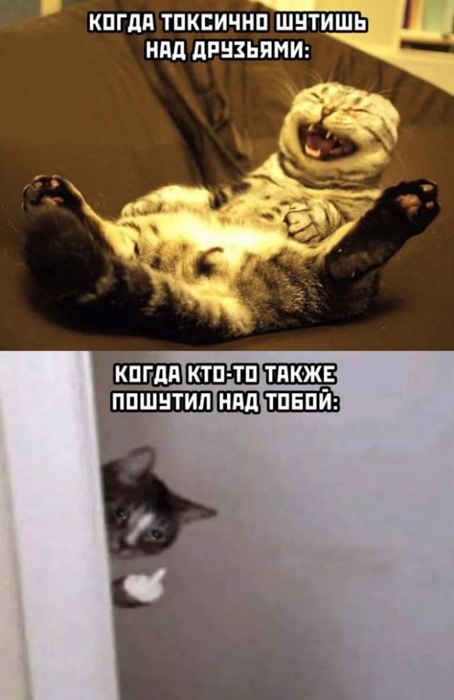 Картинки и мемы на все случаи жизни