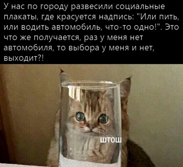 Так себе картинки 11.09.21
