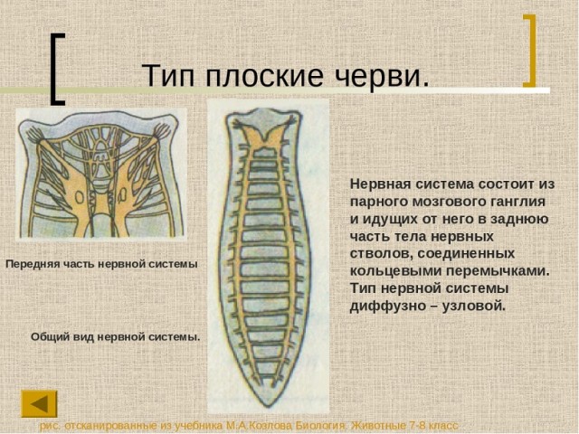 Картинки на субботу