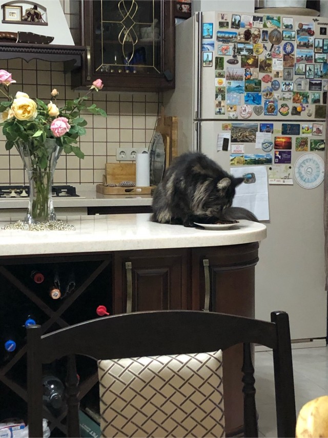 Вторник. Котэ. Пора