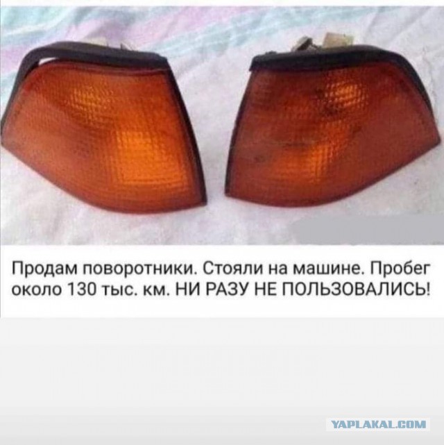 Редчайшие кадры!