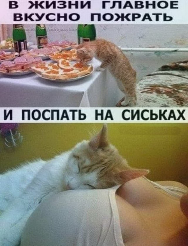 Пятница. И немного слегка пошлых картинок с надписями и без 16+ (24.12)