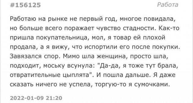 Человек собаке друг и другие картинки под настроение 13.01.2022