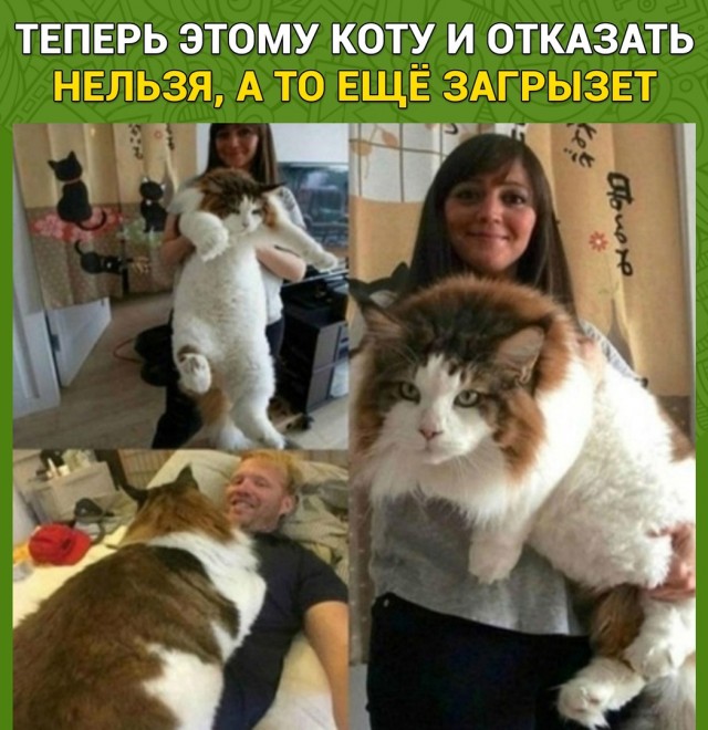 Так себе картинки 30.01.22
