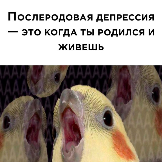 Подборка картинок всяческих 09.02.2022