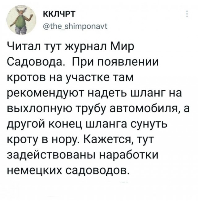 Картинки и мемы для настроения - 22