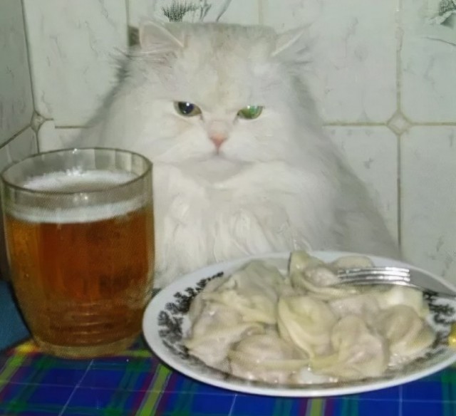 Купил пльменей по скидке