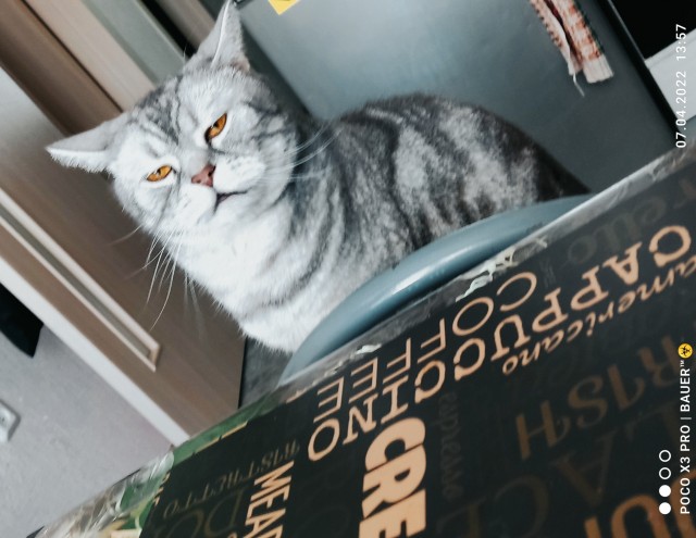 А что, уже вторник?