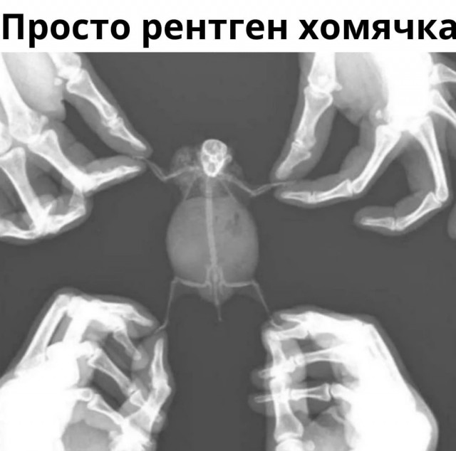 Так себе картинки 20.04.22