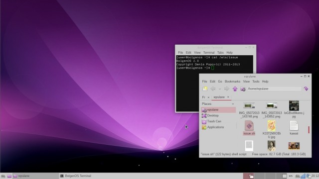 «Через десять лет про Windows в России никто и не вспомнит»