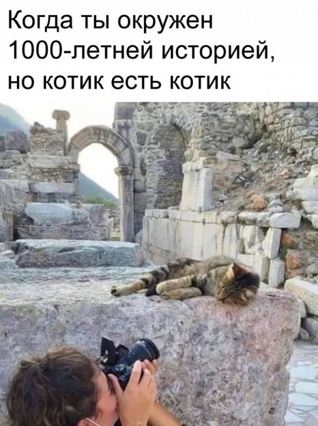 Картинки и мемы для настроения - 15