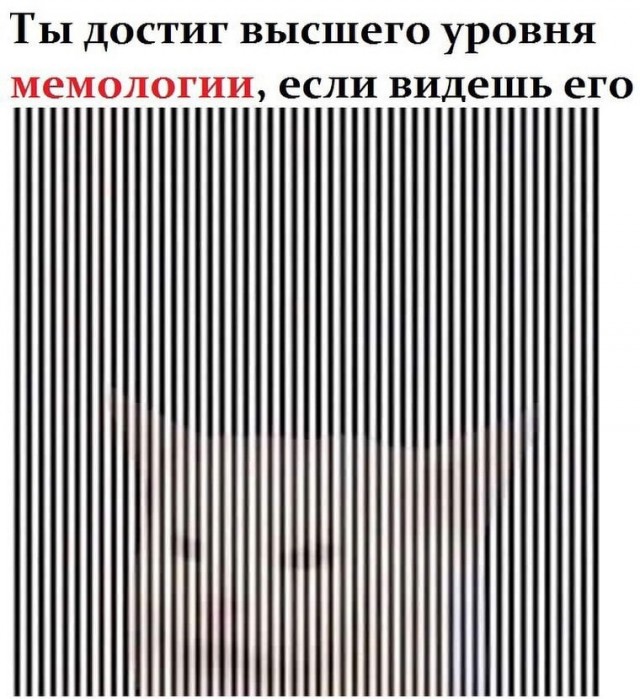 Так себе картинки 25.07.22