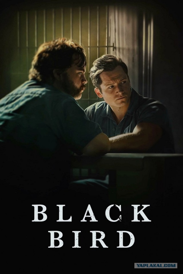 Сериалы