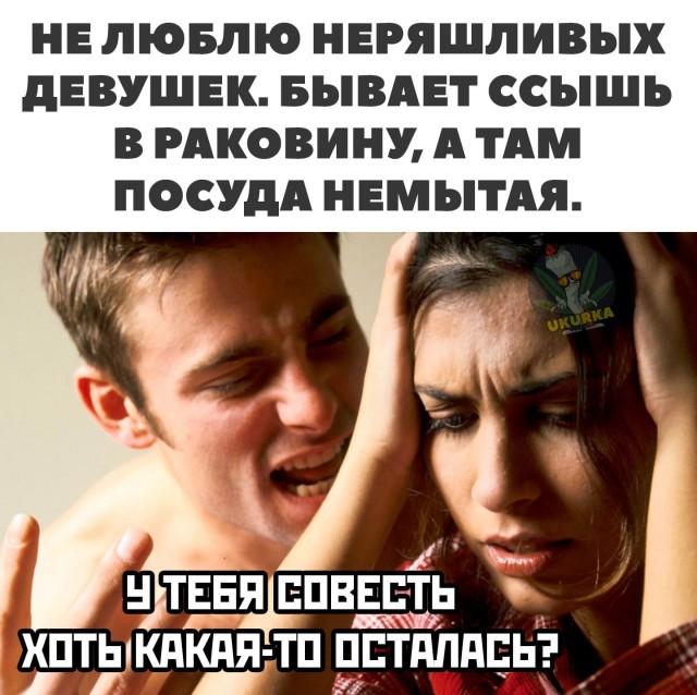 Весёлый полтишок 08.09.22