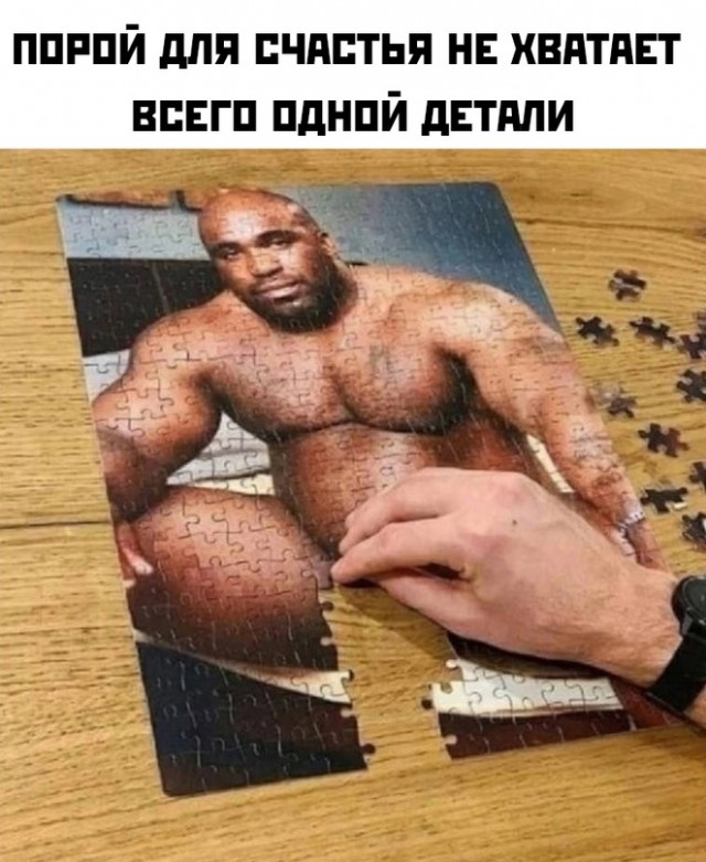 Весёлый полтишок 10.11.22