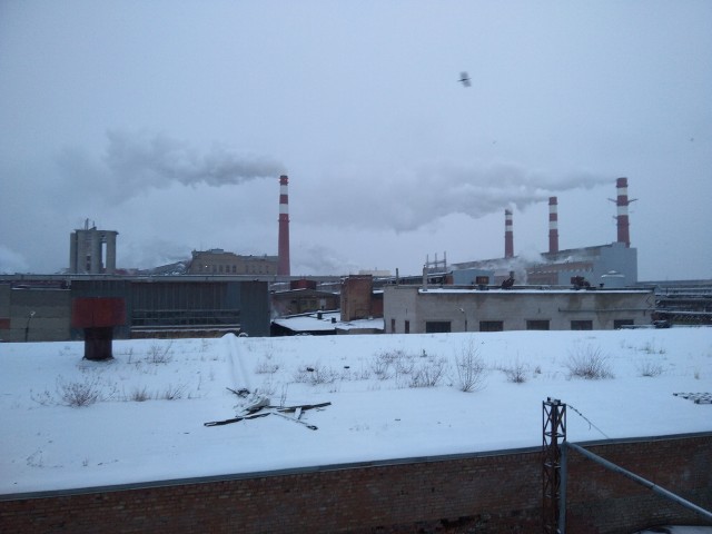 А из нашего окна вот такая красота...