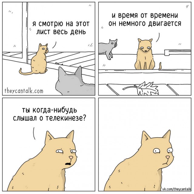 Ребятам о зверятах