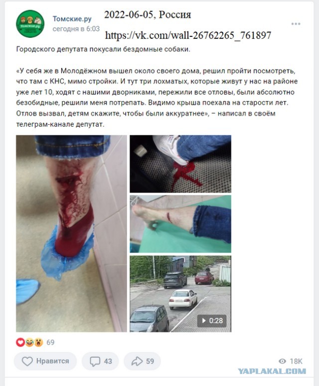 Губернатор призвал изменить закон об отлове животных после гибели ребенка