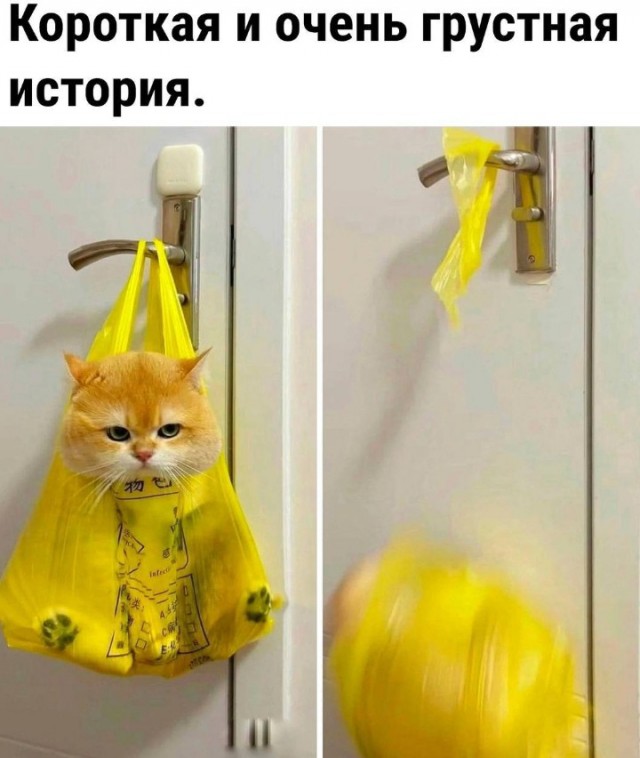 Всего понемногу. От 03.10.23
