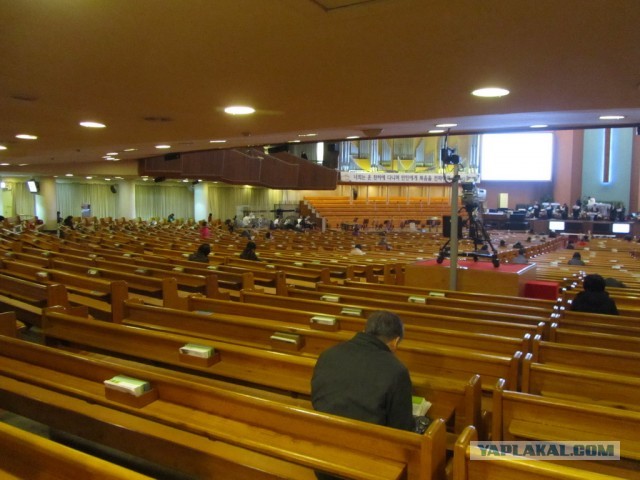 Тем временем в Южной Корее