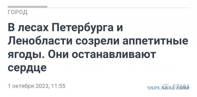 Жуткая история из Ленобласти про навигатор